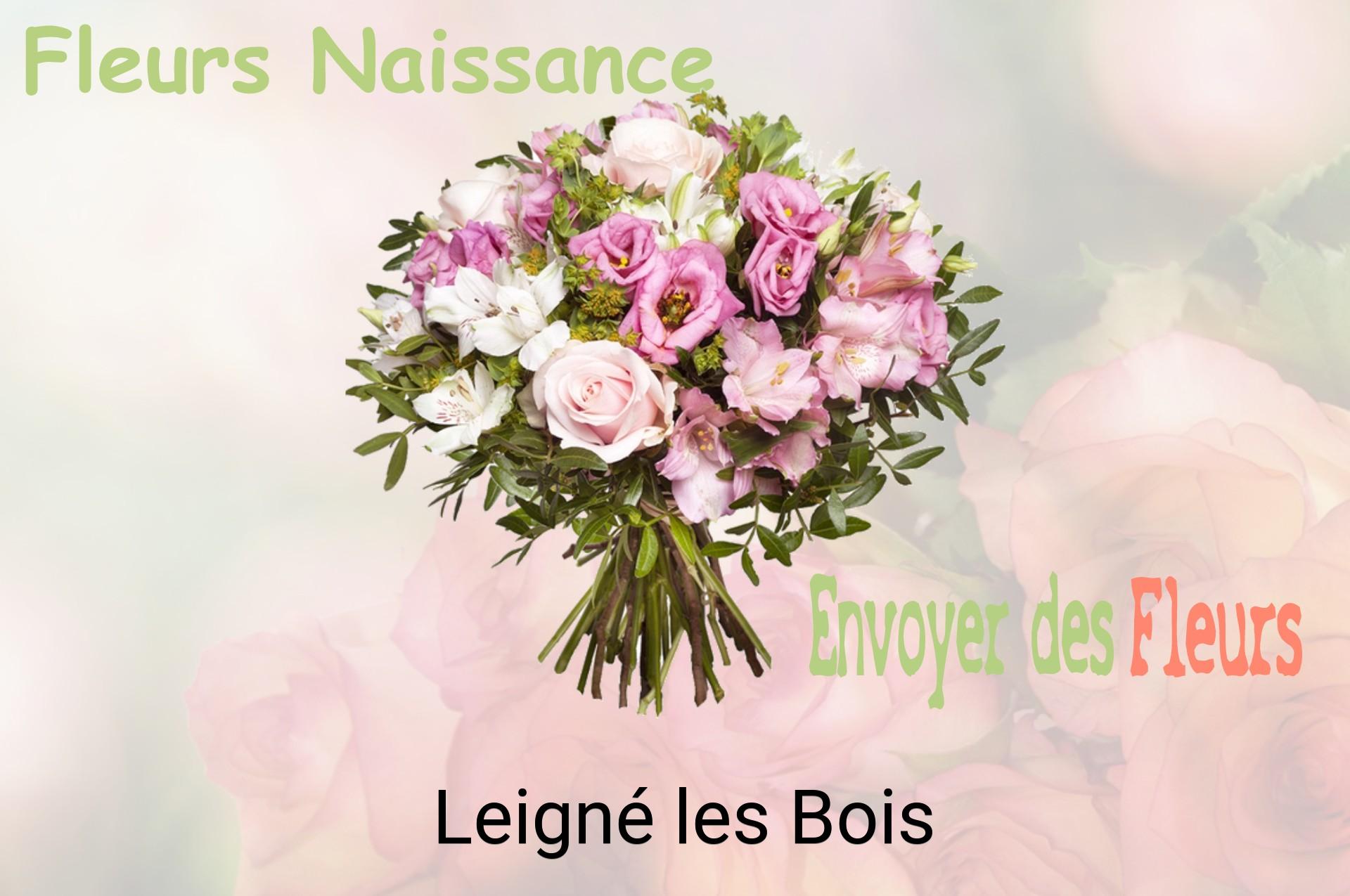 Bouquet de fleurs de naissance livré à Leigné-les-Bois
