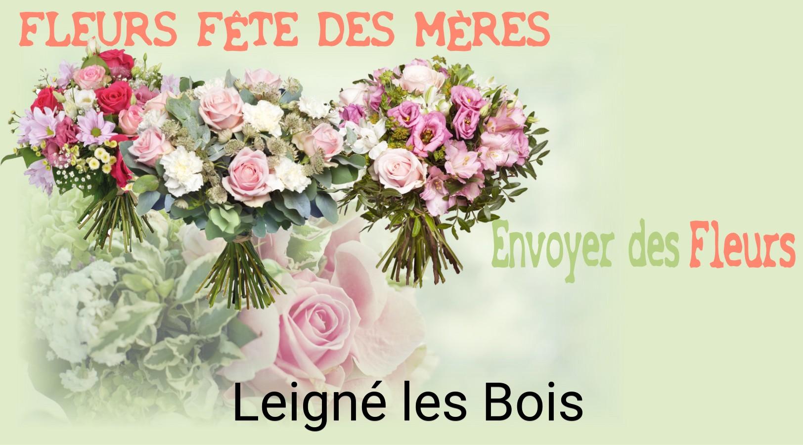 Bouquet de Fête des Mères livré à Leigné-les-Bois